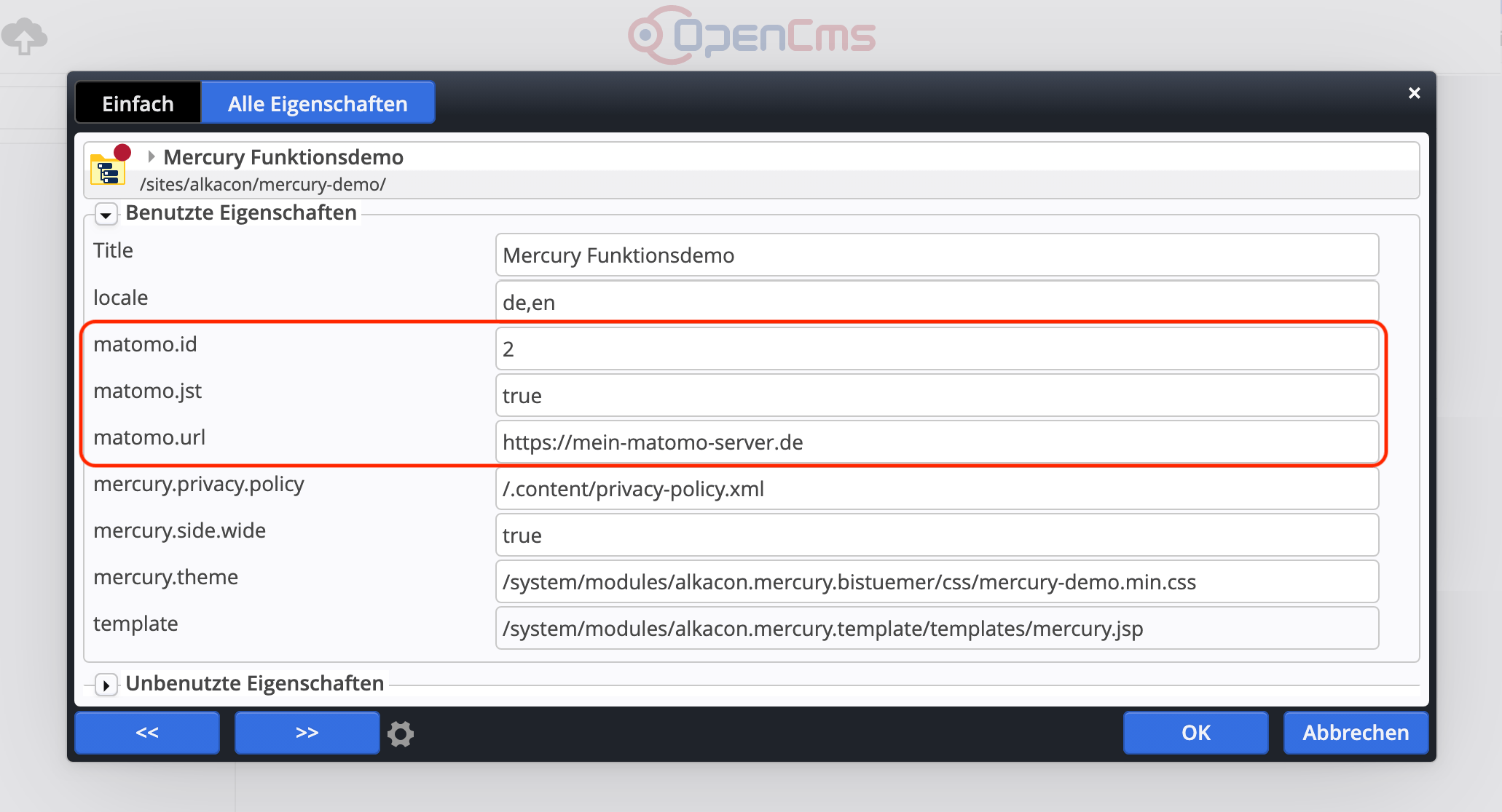 Setzen der Matomo Eigenschaften „matomo.url“, „matomo.id“ und „matomo.jst“